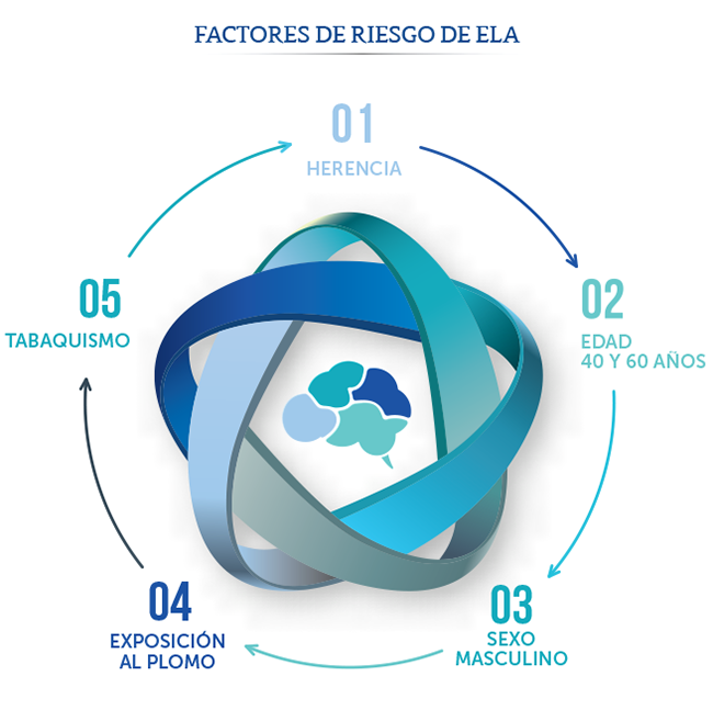 Factores de riesgo esclerosis lateral amiotr�fica