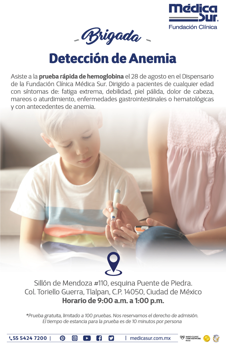 Brigada Detección de Anemia