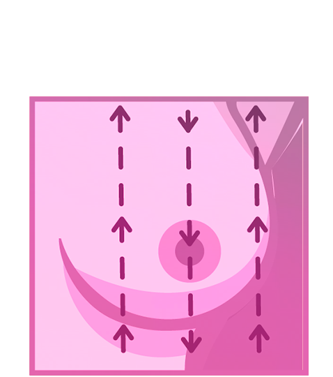 Gu�a de autoexploraci�n